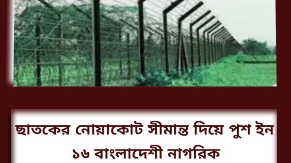 ছাতকের নোয়াকোট সীমান্ত দিয়ে পুশ ইন ১৬ বাংলাদেশী নাগরিক
