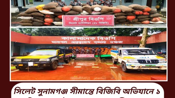 সিলেট সুনামগঞ্জ সীমান্তে বিজিবি অভিযানে ১ কোটি ২৮ লক্ষ টাকার চোরাচালানী মালামাল আটক