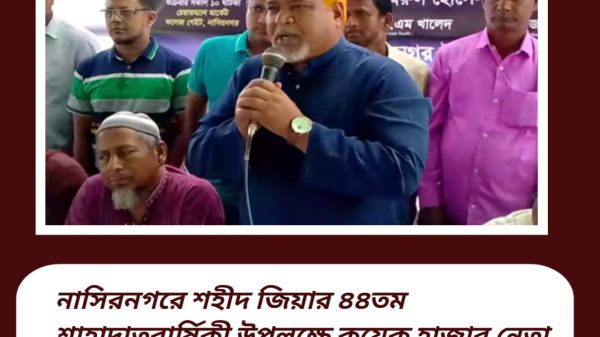 নাসিরনগরে শহীদ জিয়ার ৪৪তম শাহাদাতবার্ষিকী উপলক্ষে কয়েক হাজার নেতা কর্মীর ঢল