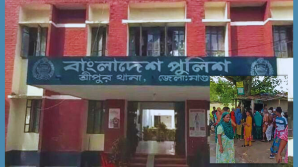 শ্রীপুরে মোটরসাইকেলের ধাক্কায় বৃদ্ধা নিহত