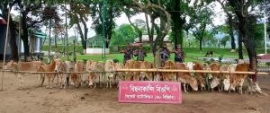 সিলেট সীমান্তে বিজিবি অভিযানে দেড় কোটি টাকার ভারতীয় চোরাই পন্য জব্দ