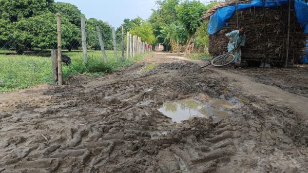 রাণীশংকৈলে রাস্তার বেহাল দশা ; চরম দুর্ভোগে স্থানীয়রা