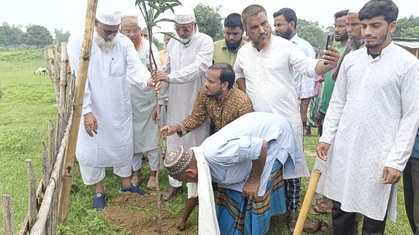 রাণীশংকৈলে মাদ্রাসার উদ্বোগে ৩০০ চারা বৃক্ষরোপন কর্মসূচি