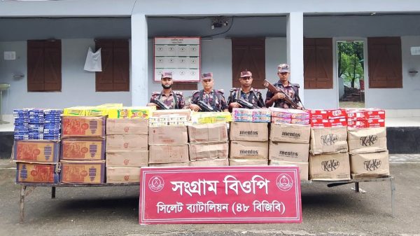 সিলেট সীমান্তে ৮০ লক্ষ টাকার ভারতীয় চোরাই পন্য ধরলো বিজিবি