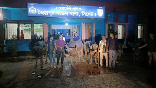 জৈন্তাপুরে মহিষ জব্দ, মামলা নিয়ে ভিন্নমত তদন্তে গুরুত্ব দিচ্ছে থানা প্রশাসন