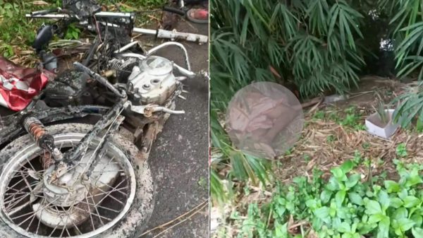 নন্দীগ্রামে মোটরসাইকেলে বাসের ধাক্কায় আপন দুই ভাই নিহত